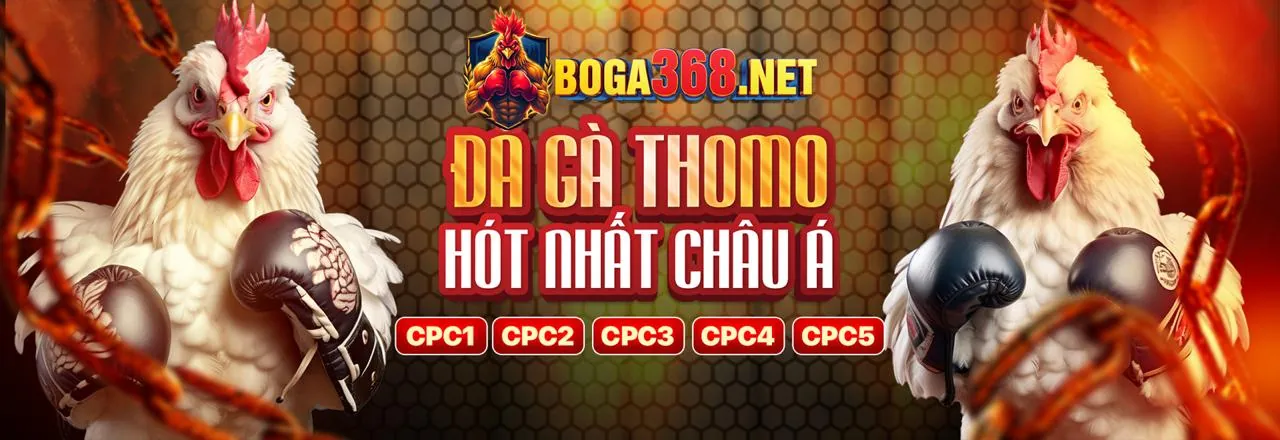 Sân vận động tràn ngập ánh sáng với logo open888, biểu tượng cá cược thể thao đỉnh cao