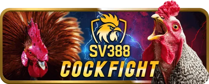Hoàn trả tiền cược open888